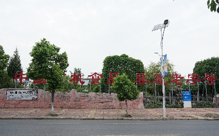 當(dāng)定制葛粉時(shí)，我們真正在選擇什么？