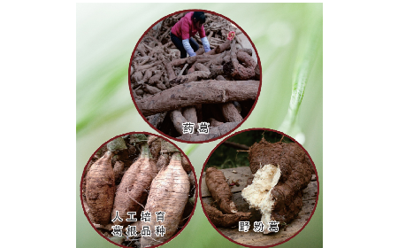 買葛粉是買野生的好？還是野生有機(jī)的好？